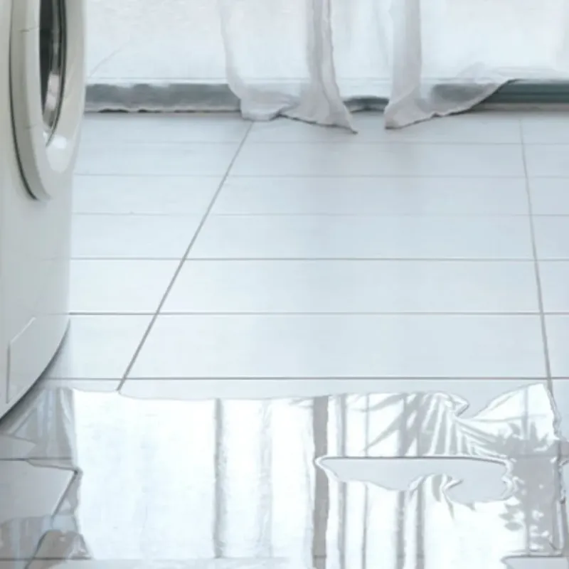 Appliance Leak Cleanup in Winters, TX