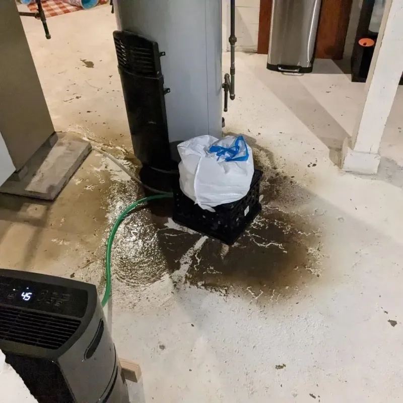 Sewage Backup Cleanup Service in Winters, TX